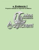 Evidencia 1 cadena de suministros Agrichem de México
