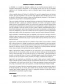 MENTIRA LA VERDAD – LA FELICIDAD