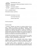 LA LECTURA Y LA ESCRITURA. TEXTO: LA RESEÑA FÍLMICA