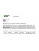 PLANIFICACIÓN ANUAL PROFESORADO