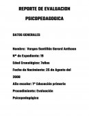 REPORTE DE EVALUACION PSICOPEDAGOGICA