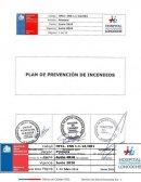 Seguridad de los usuarios y funcionarios