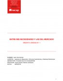 ENTRE MIS NECESIDADES Y LAS DEL MERCADO ENSAYO UNIDAD N° 1