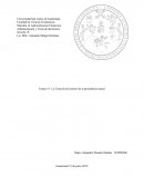 La Toma de Decisiones de la Presidencia Actual