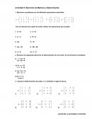 Matrices y determinantes