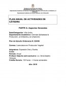 PLAN ANUAL DE ACTIVIDADES DE CÁTEDRA