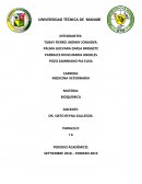 Efectos de los ácidos grasos poliinsaturados en la salud y enfermedad