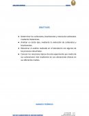 ANÁLISIS VOLUMÉTRICO: TITULACIONES POR RETROCESO
