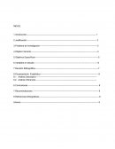 Análisis estadístico sobre la implementación de TIC en la empresas peruanas en el 2109