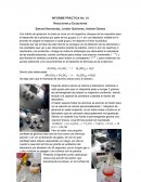 Laboratorio Qumica - Reacciones y Ecuaciones