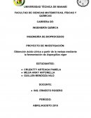 Obtención ácido cítrico a partir de la melaza mediante la fermentación de Aspergillus niger