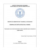 Teoría sobre el uso de las herramientas de cálculo matemático para la valuación de capital humano