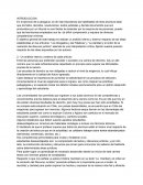 TRABAJO PRACTICO “Los Abogados y las Palabras”