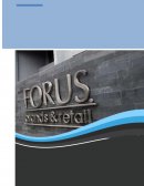 Estrategia Grupo Forus 2019-2021