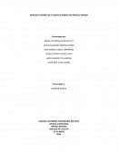 ANÁLISIS LITERARIO DE LA NOVELA DONDE LOS ANGELES ANIDAN