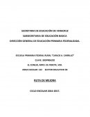 RUTA DE MEJORA CICLO ESCOLAR 2016-2017.