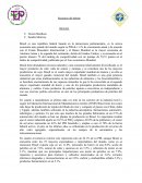 Resumen del debate BRASIL