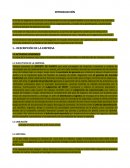 Caso empresa Coca-Cola Embonor S.A