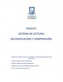 DIDÁCTICA PARA LA ATENCIÓN DE LAS NECESIDADES EDUCATIVAS ESPECIALES