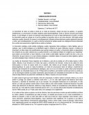 SINTESIS II COMUNICACIÓN DE DATOS