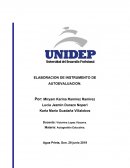 ELABORACIÓN DE INSTRUMENTO DE AUTOEVALUACION