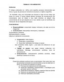 Trabajo colaborativo. Características