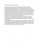 La Revista de Papirologia Juridica