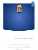 Ensayo cambio estrátegico