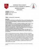 La Granja del Dr. Frankenstein
