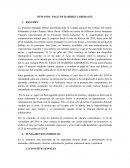 DEMANDA PAGO DE HABERES LABORALES