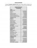 Caso empresa VAGANINY COMPANY LTDA