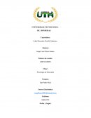 Tarea de Psicologia del consumidor