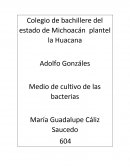 Medio de cultivo de las bacterias