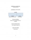 PRÁCTICAS DE LABORATORIO DEL I PARCIAL