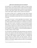 ¿Qué son las emociones para el ser humano?