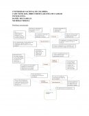 CASO: HANK KOL, DIRECTOR DE GARANTÍA DE CALIDAD