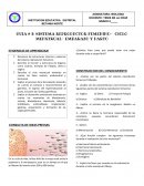 GUIA # 9: SISTEMA REPRODUCTOR FEMENINO- CICLO MENSTRUAL- EMBARAZO Y PARTO