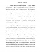 Ensayo la memoria del olvido