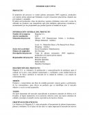 Informe ejecutivo empresa Magenta S.A.
