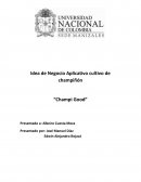 Idea de Negocio Aplicativo cultivo de champiñón “Champi Good”
