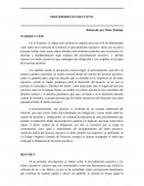 PROCEDIMIENTO EJECUTIVO