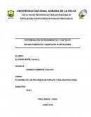 DETERMINACIÓN DE RENDIMIENTOS Y COSTOS DE ESTABLECIMIENTOS Y MANEJO DE PLANTACIONES