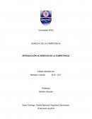 INTRODUCCIÓN AL DERECHO DE LA COMPETENCIA