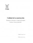 Recepción, Colocación y Curado del Hormigón. Técnicas y Normas Aplicables