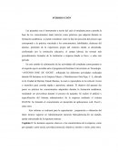 INFORME DE PASANTIAS MAYOR Y DISTRIBUCIONES DON PEPE C. A.