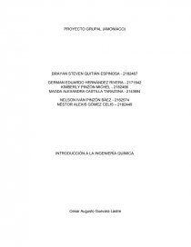 PROYECTO GRUPAL (AMONÍACO). Página 1