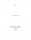 Proyecto de vida taller