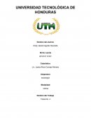 SOCIOLOGIA democracia