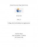 Collage sobre la diversidad en las organizaciones