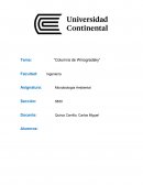 Columna de Winogradsky